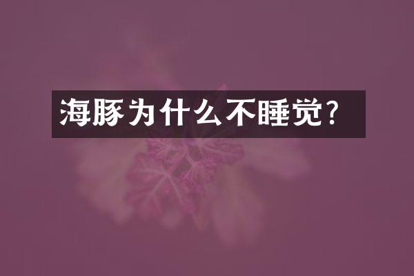 海豚为什么不睡觉？