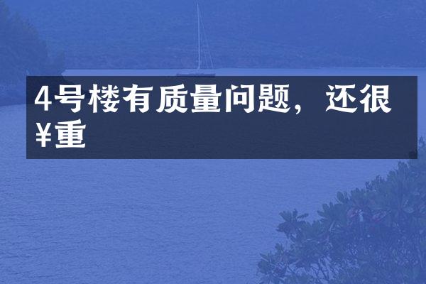 4号楼有质量问题，还很严重