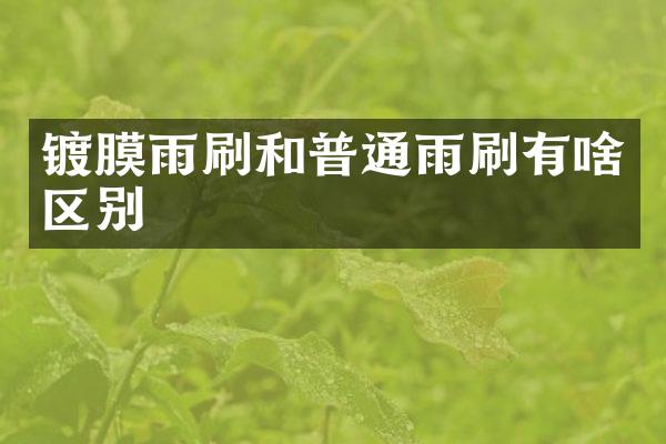镀膜雨刷和普通雨刷有啥区别