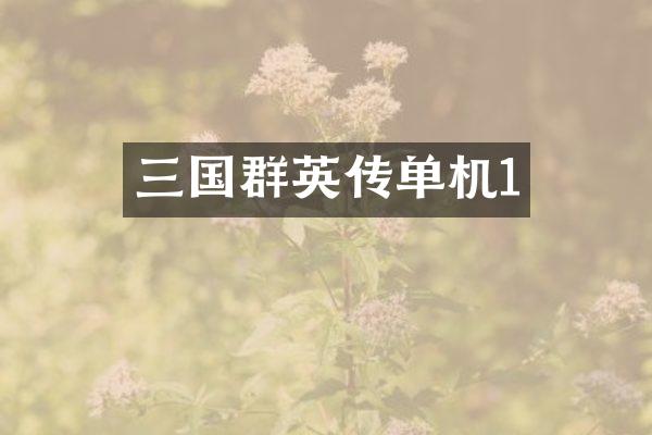 三国群英传单机1