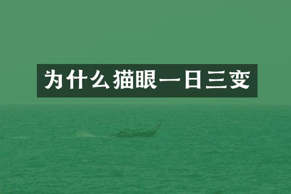 为什么猫眼一日三变