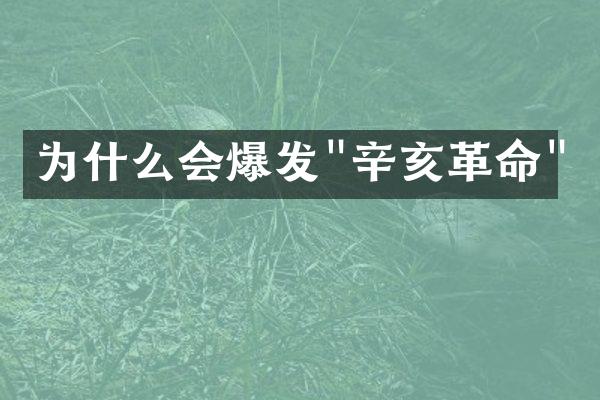 为什么会爆发"辛亥革命"