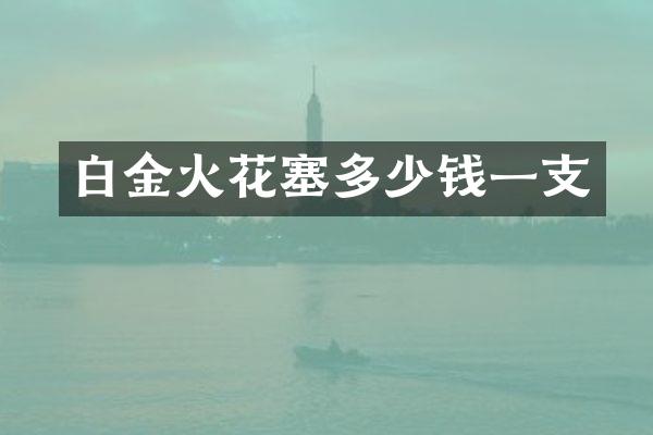 白金火花塞多少钱一支