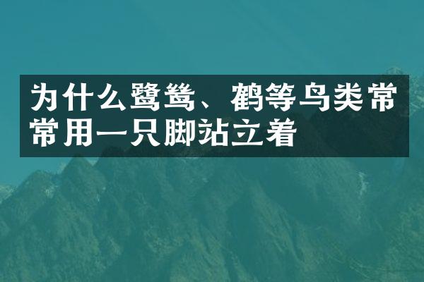为什么鹭鸶、鹤等鸟类常常用一只脚站立着