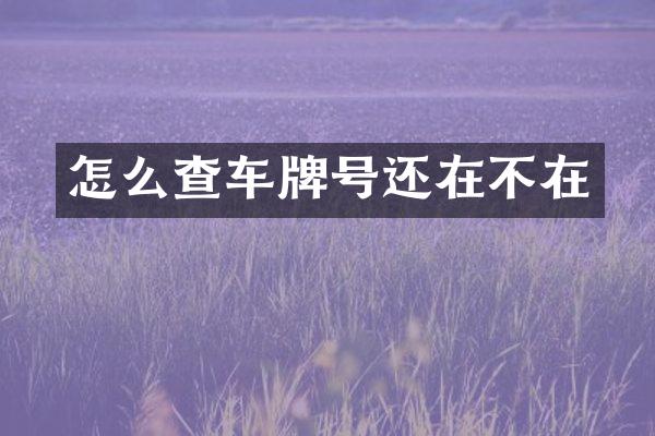 怎么查车牌号还在不在