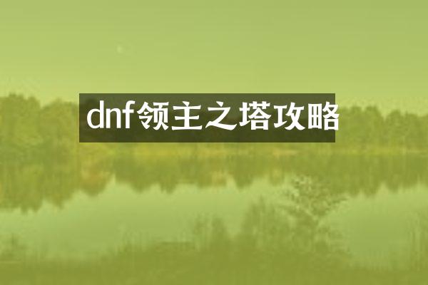 dnf领主之塔攻略