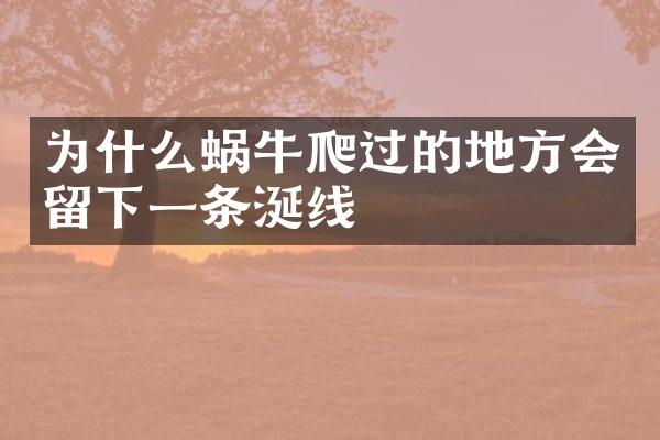 为什么蜗牛爬过的地方会留下一条涎线