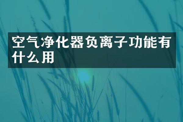空气净化器负离子功能有什么用