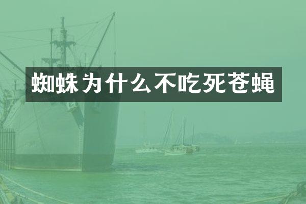 蜘蛛为什么不吃死苍蝇