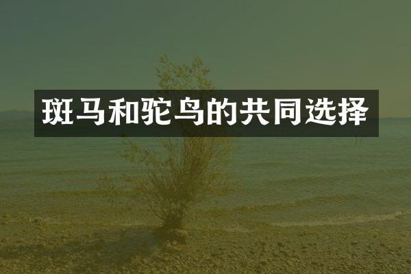 斑马和驼鸟的共同选择