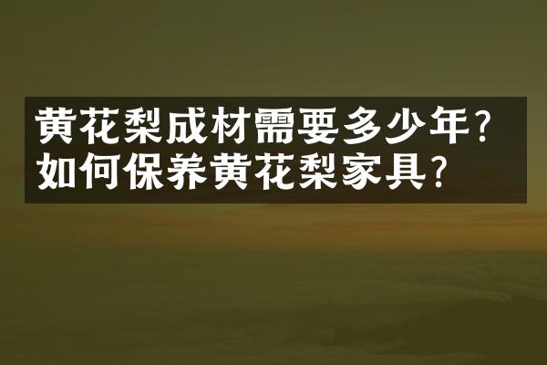 黄花梨成材需要多少年？如何保养黄花梨家具？