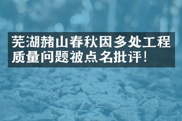芜湖赭山春秋因多处工程质量问题被点名批评！