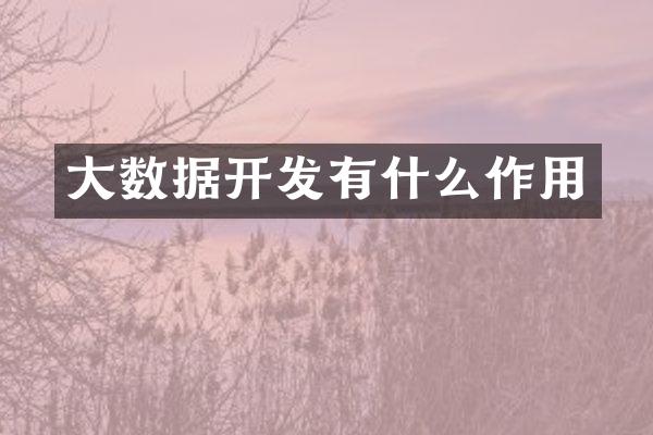 大数据开发有什么作用