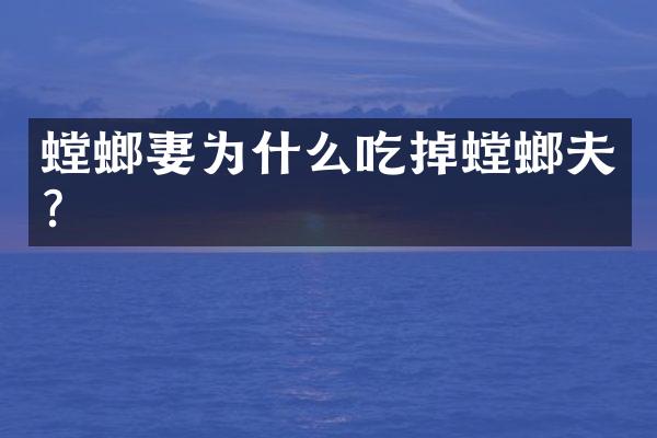 螳螂妻为什么吃掉螳螂夫?