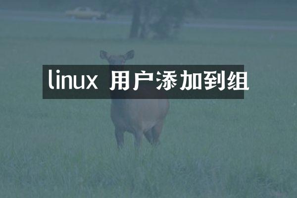 linux 用户添加到组