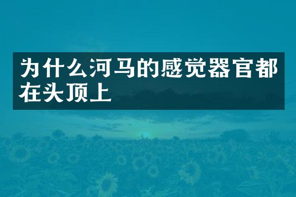 为什么河马的感觉器官都在头顶上