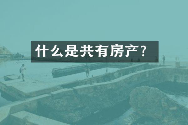 什么是共有房产？