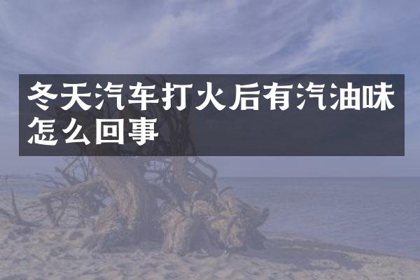 冬天汽车打火后有汽油味怎么回事