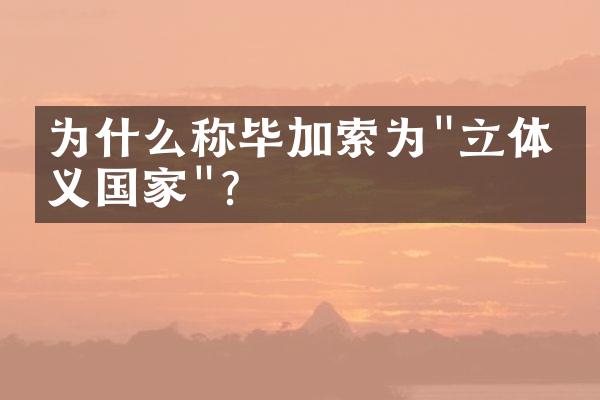 为什么称毕加索为"立体主义国家"?
