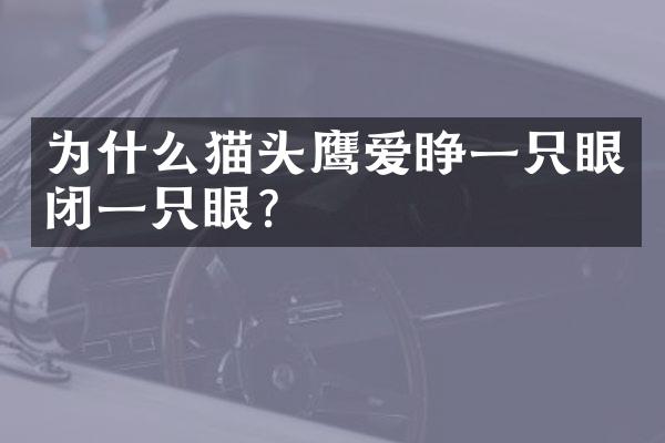 为什么猫头鹰爱睁一只眼闭一只眼?