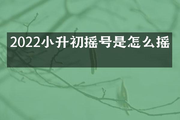 2022小升初摇号是怎么摇的