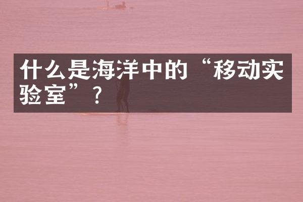 什么是海洋中的“移动实验室”?