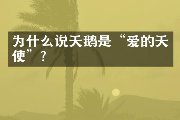为什么说天鹅是“爱的天使”？