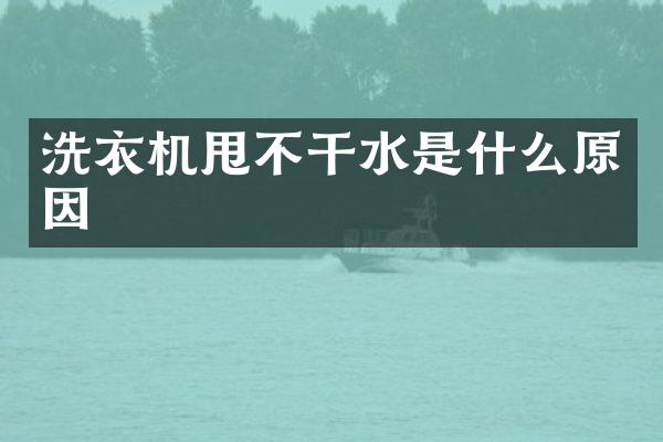 洗衣机甩不干水是什么原因