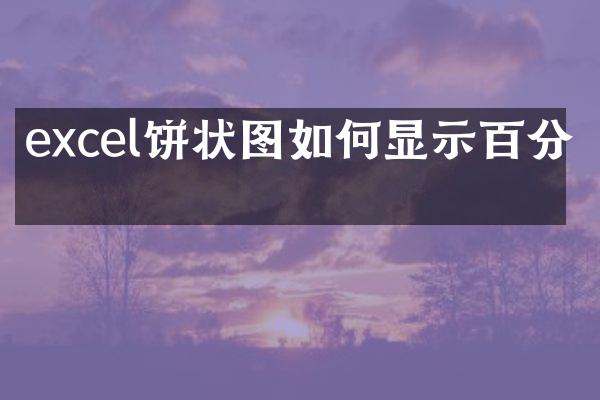 excel饼状图如何显示百分比