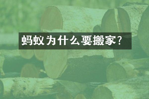 蚂蚁为什么要搬家？