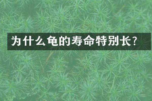 为什么龟的寿命特别长？