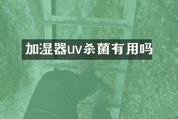 加湿器uv杀菌有用吗