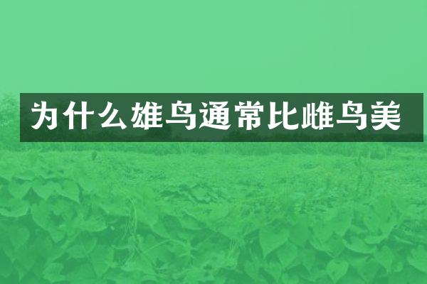 为什么雄鸟通常比雌鸟美
