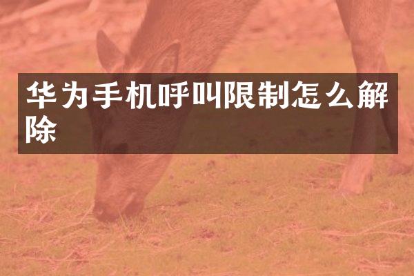 华为手机呼叫限制怎么解除
