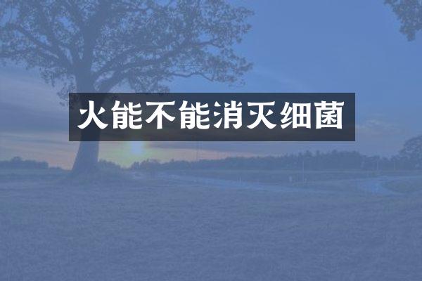 火能不能消灭细菌