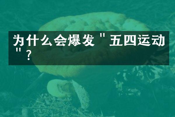 为什么会爆发＂五四运动＂？
