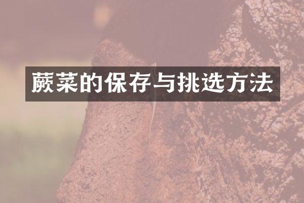 蕨菜的保存与挑选方法