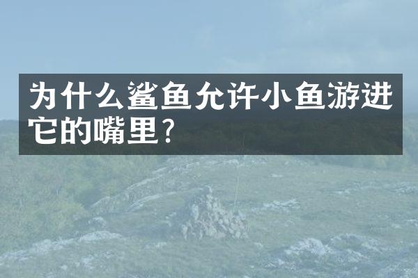 为什么鲨鱼允许小鱼游进它的嘴里?