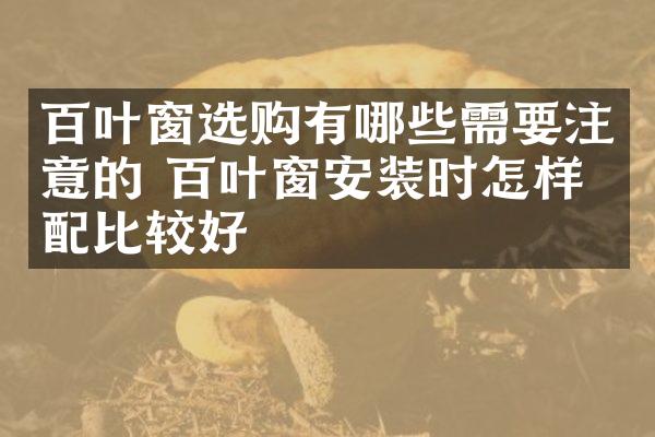 百叶窗选购有哪些需要注意的 百叶窗安装时怎样搭配比较好