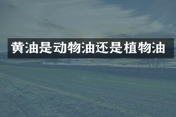 黄油是动物油还是植物油