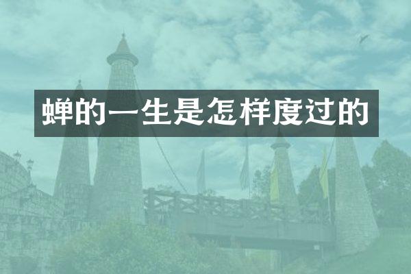 蝉的一生是怎样度过的