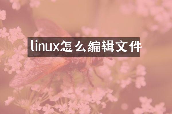 linux怎么编辑文件