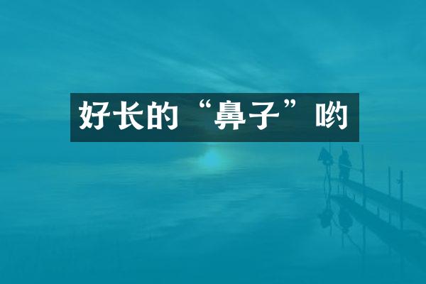 好长的“鼻子”哟