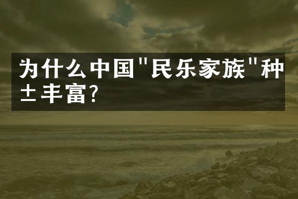 为什么中国"民乐家族"种类丰富?