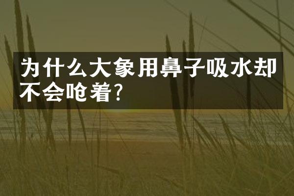 为什么大象用鼻子吸水却不会呛着?