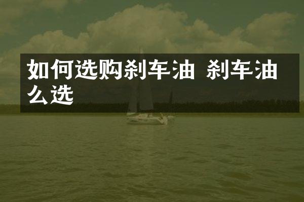如何选购刹车油 刹车油怎么选