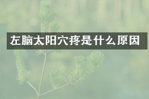 左脑太阳穴疼是什么原因