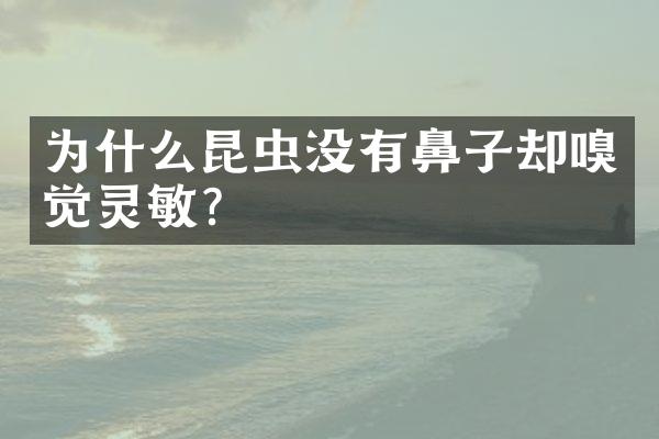 为什么昆虫没有鼻子却嗅觉灵敏?