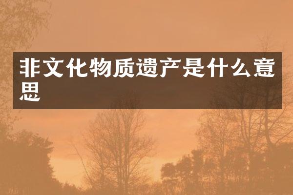 非文化物质遗产是什么意思