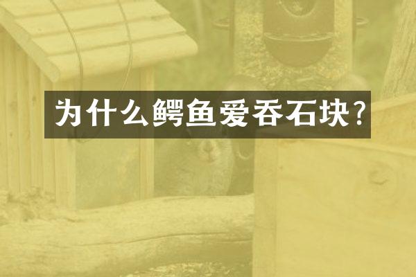 为什么鳄鱼爱吞石块?